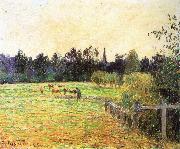 Camille Pissarro Cattle Germany oil painting artist